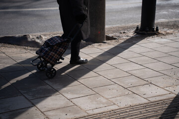 pedestrian in a dark coat pulling a plaid wheeled shopping trolley along a sunlit urban sidewalk, long diagonal shadows cast across gray paving stones conveying a quiet, solitary street scene