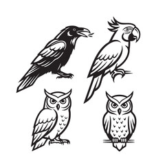 Obraz premium Black and white illustrations of raven, parrot, and owl birds in various poses.