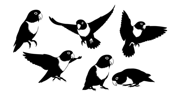 Set of Black and White Silhouettes of Lovebirds in Various Poses