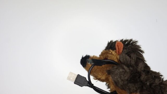 Toy hedgehog playing with a black USB cable. This video is suitable for tech-related themes, learning, creativity, or humorous gadget content.