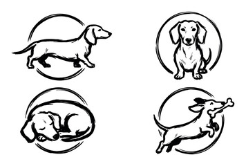 Fototapeta premium Set of four dachshund dog illustrations drawn in a simple black ink brush stroke style showing various poses like standing, sitting, sleeping, and playing with a bone