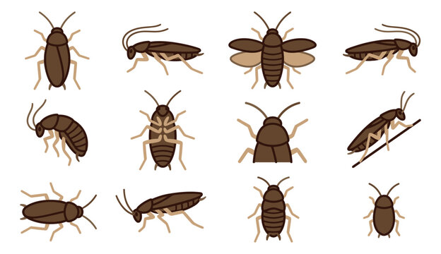 Flat icon set of 12 cockroaches featuring various poses and orientations for pest control design