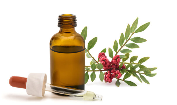 Mastic Tree Branch with Glass Bottle
