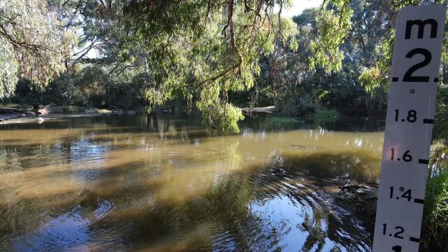Bluestone Ford on the Werribee River in Melbourne, Australia. Calm river water flows beneath overhanging eucalyptus trees while the measuring scale monitors river depth and flood levels.