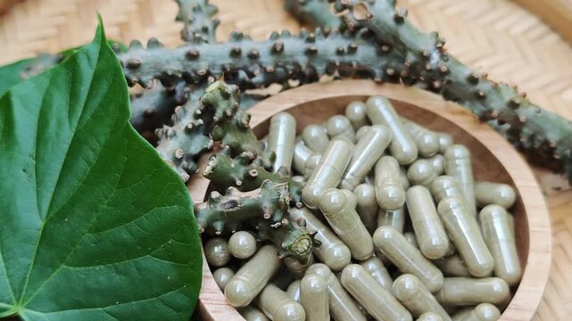 Tinospora crispa and capsules with leaves have medicinal properties.