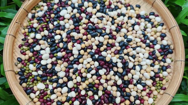 Pile of five mixed beans. (soybean, azuki bean, mung bean, white kidney bean, black bean)