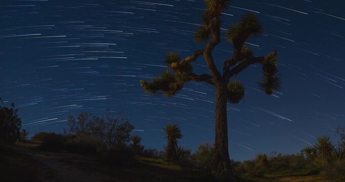 Stars Timelapse Joshua Tree National Park Night Sky