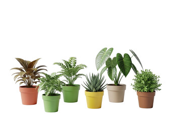 Obraz premium A collection of potted plants in different colored pots isolated on transparent background