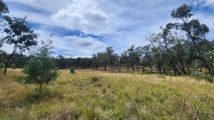 Obraz premium Dumaresq Dam in Armidale, New South Wales, Australia