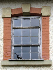 Fototapeta premium old window with shutters