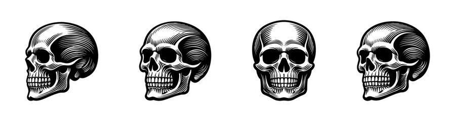 Obraz premium Skull illustrations set black and white vector skull designs multiple angles