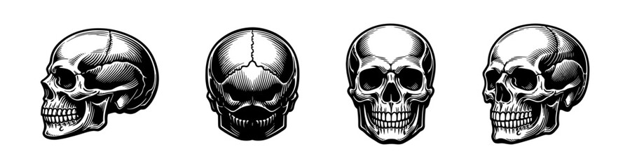 Obraz premium Detailed skull illustrations in black and white, set of four vector designs
