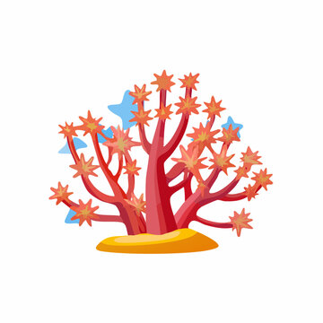 Abstract Illustration of Galaxea Star Crystal Coral with Spiky Polyps Extended on Stalks, Stylized Vector Design of Marine Life and Underwater Ecosystem