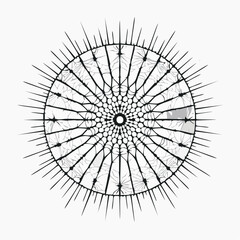 Obraz premium Abstract Radial Spine Icon Representing Echinopora Coral Texture and Organic Circular Pattern with Symmetrical Geometric Lines for Minimalist Graphic Design and Scientific Visualization