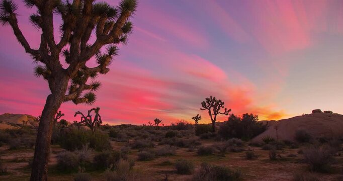 Gorgeous Pink Sunrise Sunset Dawn Dusk Joshua Tree Timelapse