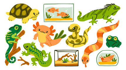 Set of exotic pets. Stickers with adorable cold blooded animals, turtle, snake, fish in aquarium, snail, gecko, lizard and chameleon. Flat vector illustration collection isolated on background