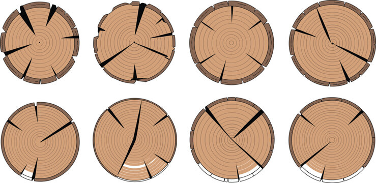 Tree Material 2d Tree Material Design Images – Browse 877,653 Stock Photos, Vectors, and ...