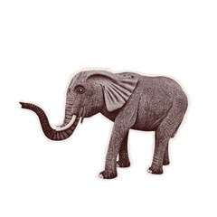 Fototapeta premium Elephant halftone collage sticker isolated on white background. African elephant with raised trunk in dotted retro texture, cut out style. Grayscale scrapbook element for y2k nostalgia.