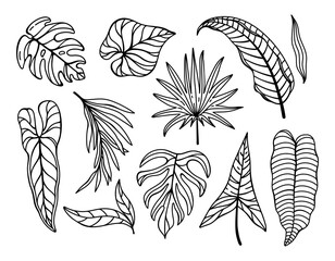 Tropical plants vector illustration set. Monstera, banana, fan palm leaves. Black and white clipart, isolated botanical sketch. Exotic liana, anthurium leaf. Houseplant silhouette, simple drawing