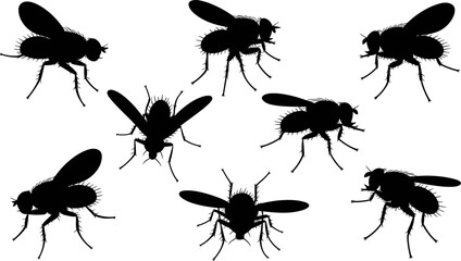 Housefly silhouette set with multiple fly positions and wings spread isolated, insect pest vector collection for entomology, hygiene warning, contamination and pest control concept © Goutom