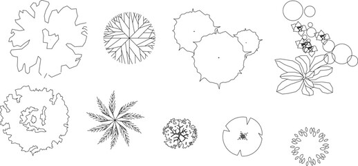 Naklejka premium Technical landscape architectural drawing showing various plants and trees in plan view including deciduous trees, palms, shrubs and flowering plants in black and white line art.