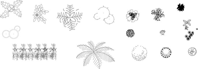 Naklejka premium Technical landscape architectural drawing showing various plants and trees in plan view including shrubs, ferns, palms and ground cover vegetation in black and white line art.