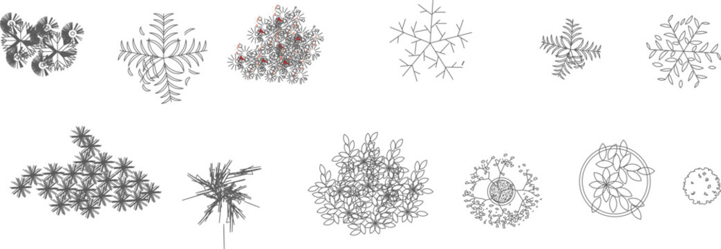 Technical landscape architectural drawing showing various plants and flowering shrubs in plan view with different foliage patterns and blooms in black, white and pink.
