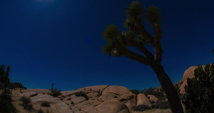 Moonlit Joshua Tree Clear Night Sky Timelapse 4K Silhouette Backlit Jumbo Rocks
