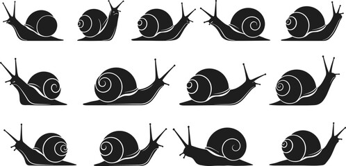 Snail silhouette vector set, crawling garden snail poses collection, wildlife mollusk illustration, black snail icons isolated on white background © Goutom