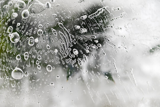 Abstract Close up of Ice in Winter with Some Greenery Underneath the Surface