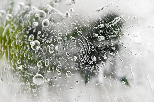 Abstract Close up of Ice in Winter with Some Greenery Underneath the Surface