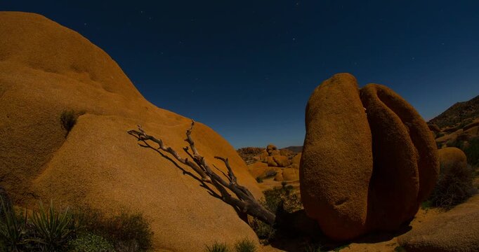 Night Sky Desert Boulders Timelapse Dead Tree Joshua Tree Jumbo Rocks