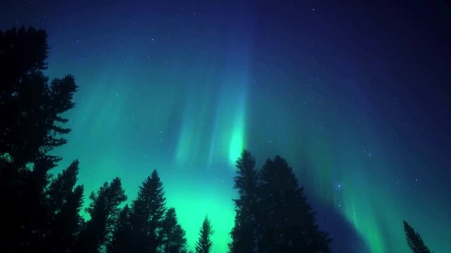 Aurora Borealis Northern Lights Display Over Trees.