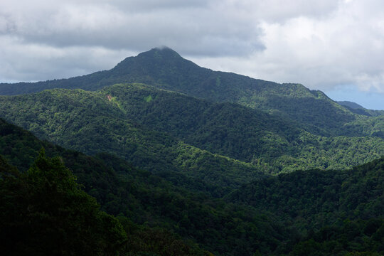 View of the Martinique mountains from the D1 road (Fonds-Saint-Denis, Martinique, France)