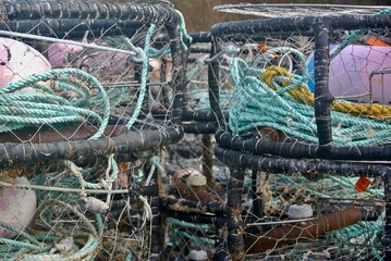 Stacked Dungeness crab traps with rope and floats at Northern California harbor  © Susan