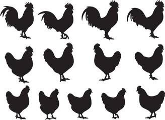 Vector Silhouette Collection of Roosters and Chickens in Various Farm Poses and Profiles © Ai_Images