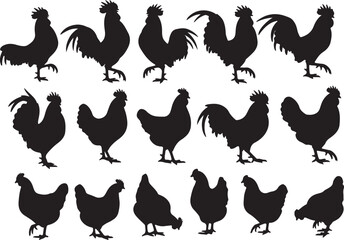 Vector Silhouette Collection of Roosters and Chickens in Various Farm Poses and Profiles © Ai_Images
