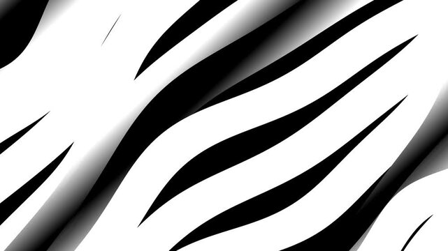 Flowing white wave lines moving down on black background creating abstract zebra pattern motion for modern design and dynamic visual