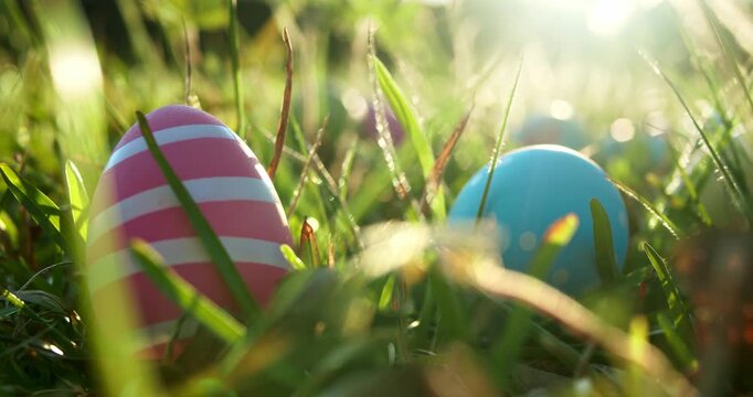 Colorful painted Easter eggs in pink and blue outside in a field of grass backlit by sunlight. Decorated Easter eggs outside for an Easter eggs hunt tradition. Looping video for Easter background.