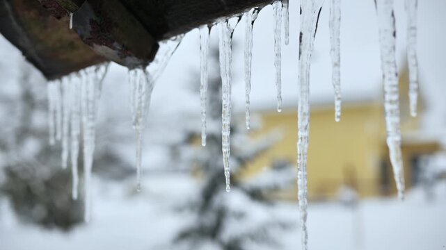 Icicles hanging from roof eave dripping water melting on a cold winter day