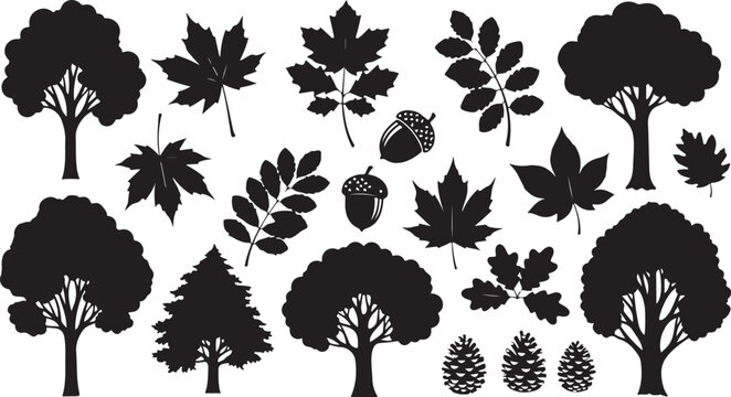 Black silhouettes of trees and leaves on white background