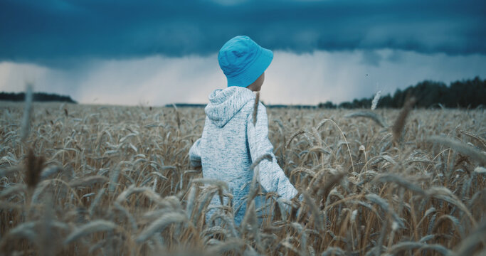 Child Walking Through Wheat Field Under Stormy Sky, long-awaited rain