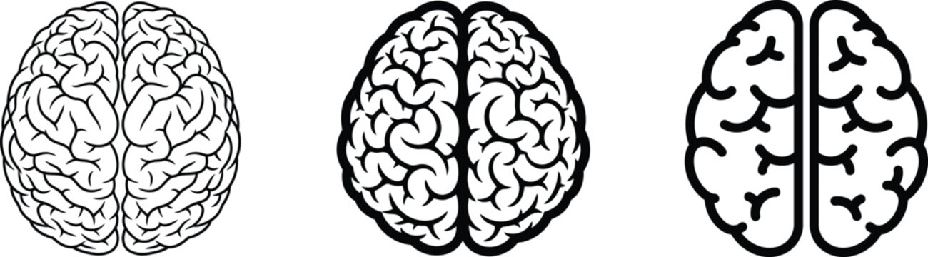 Human brain silhouette illustrations.