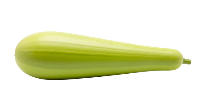 Bottle Gourd Isolated PNG &ndash; Fresh Calabash Light Green Gourd Vegetable Transparent Background