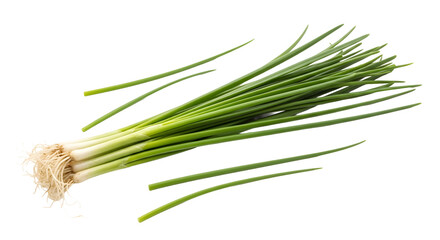 Fototapeta premium Garlic Chives Isolated PNG – Fresh Chinese Chives Green Herb Transparent Background