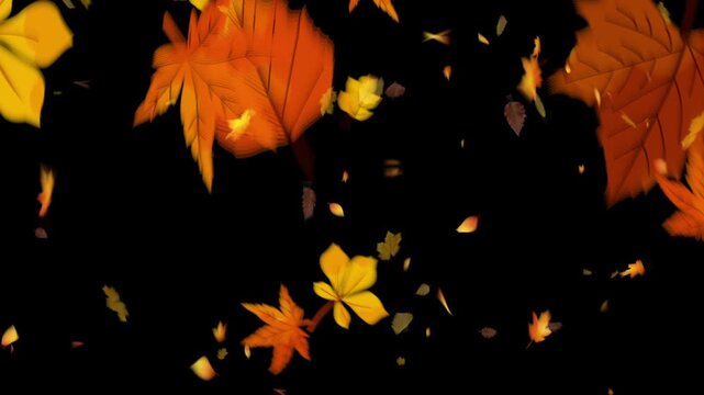 dry leaves fall in autumn background overlay.
