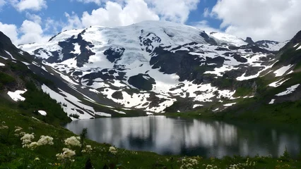 Tableau sur plexiglas Réflexion Stunning snow covered mountain peak reflected in a peaceful alpine lake with flowers  © YUSUP