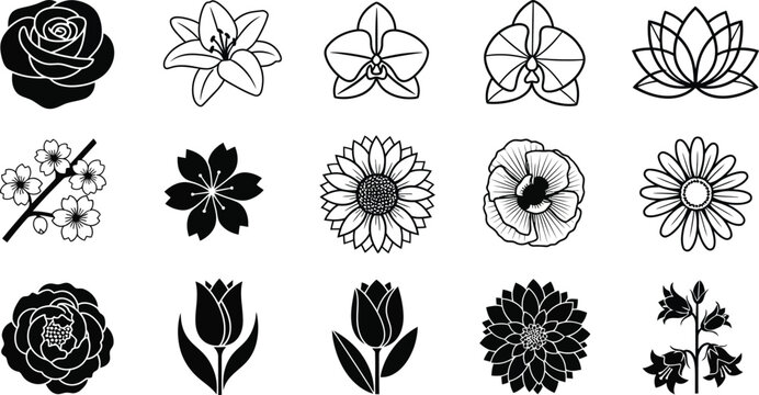 Black and white flower in various styles and shapes flowers silhouettes line