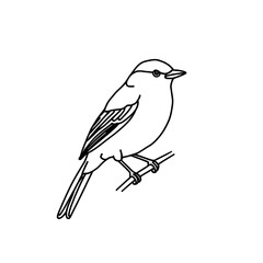 Obraz premium vector illustration of a bird