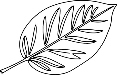 Obraz premium Leaf Trees Line Art Botanical Nature Outline Vector